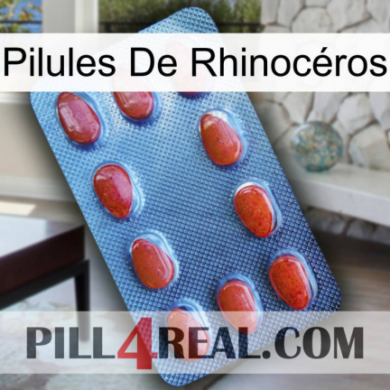 Pilules De Rhinocéros 06